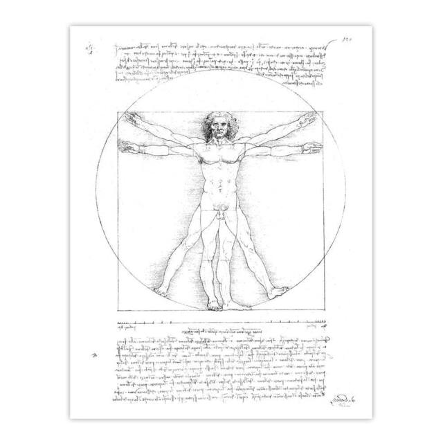 "Artery8 Vitruvian Man Black & White da Vinci Vintage Wall Art Print Poster - Size: W12"" x H16""" - image 1