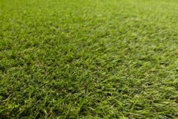 RugsX Artificial Grass Alvira Rug in Green - Size: 100 cm x 400 cm - thumbnail 3