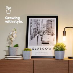 LIVIVO Set of 3 Grey Decorative Plastic Plant Pots - 12cm - thumbnail 2