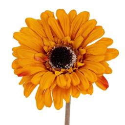 Lemon Pavilion Furniture and Decor Gerbera Stem Artificial Flower - Plastic - L11 x W11 x H53 cm - Orange - thumbnail 2