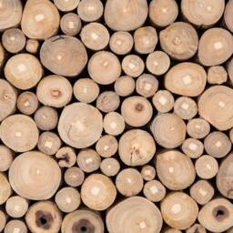 Wyld and Coco Teak Cross-Section Wall Art in Light Brown - thumbnail 3