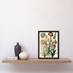 Artery8 Ernst Haeckel Inspired Vintage Botanical Plant Study Modern Watercolour Painting Illustration Artwork Framed Wall Art Print A4 in Black - thumbnail 2