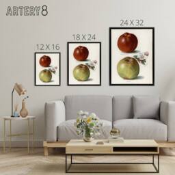 "Artery8 Gascoignes Seedling Sandringham Apples Wright Framed Canvas Wall Art in White - Size: W12"" x H16""" - thumbnail 4