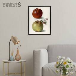 "Artery8 Gascoignes Seedling Sandringham Apples Wright Framed Canvas Wall Art in White - Size: W12"" x H16""" - thumbnail 3