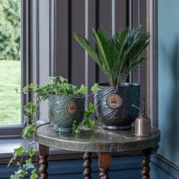 Ivyline Kew Leaf Embossed Moss Cork Plant Pot H18cm D18cm in Green - Size: Medium