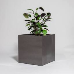 Primrose Metallic grey Polystone Square Cube Garden Planter 40cm - thumbnail 2