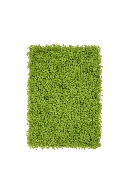 40x60cm UV-Protected Artificial Boxwood Leaf Green Wall Panel Faux Grass Tile - Size: 40x60 cm