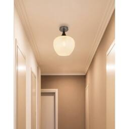 Netlighting Maxy Globe Ceiling Light Gunmetal Clear Glass Shade 1x E27 in Grey - thumbnail 4