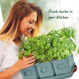 Green Thumbz Set of 3 Herb Planter Indoor with Leather Handled Tray in Teal - thumbnail 4