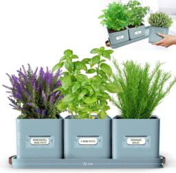 Green Thumbz Set of 3 Herb Planter Indoor with Leather Handled Tray in Teal - thumbnail 1