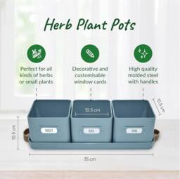 Green Thumbz Set of 3 Herb Planter Indoor with Leather Handled Tray in Teal - thumbnail 2