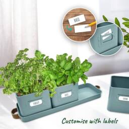 Green Thumbz Set of 3 Herb Planter Indoor with Leather Handled Tray in Teal - thumbnail 3