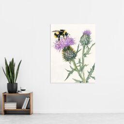 "Artery8 Watercolour Bumblebee on Scottish Thistle Flower Wall Art Print in Green - Size: W24"" x H32""" - thumbnail 4