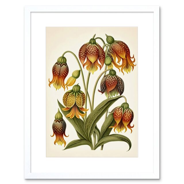 "Artery8 Wall Art Print Ernst Haeckel Inspired Fritillaria Flower Plant Study Modern Watercolour Painting Artwork Framed 9X7 Inch - Size: W7"" x H9""" - image 1