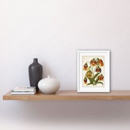 "Artery8 Wall Art Print Ernst Haeckel Inspired Fritillaria Flower Plant Study Modern Watercolour Painting Artwork Framed 9X7 Inch - Size: W7"" x H9""" - thumbnail 2