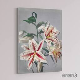 "Artery8 White Pink Spotted Lily Flowers Canvas Wall Art Print Kazumasa - Size: W18"" x H24""" - thumbnail 2