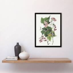 "Artery8 Black & Yellow Warblers Audubon Nature Framed Wall Art Print in White - Size: W12"" x H16""" - thumbnail 4