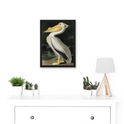Artery8 Audubon Birds White Pelican Painting Nature Animals Artwork Framed Wall Art Print A4 in Black - thumbnail 2