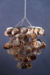 Orsina Natural Shell Pendant Shade, Circular Frame With Cascading Palu Shells, Earth-Toned Hanging Ceiling Light - thumbnail 2