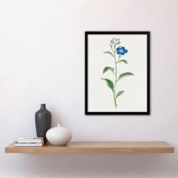 Artery8 Vintage Japan Botanical Framed Wall Art Print Blue Flower in White - Size: A4 - thumbnail 2