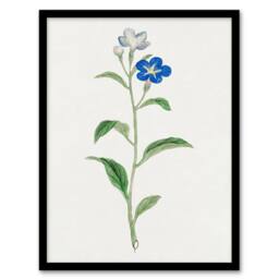 Artery8 Vintage Japan Botanical Framed Wall Art Print Blue Flower in White - Size: A4 - thumbnail 1