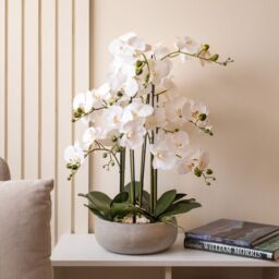 Scottish Everlastings Ltd 68cm Real Touch 10-stem Orchid in Grey Ceramic Pot in White