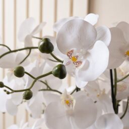 Scottish Everlastings Ltd 68cm Real Touch 10-stem Orchid in Grey Ceramic Pot in White - thumbnail 2