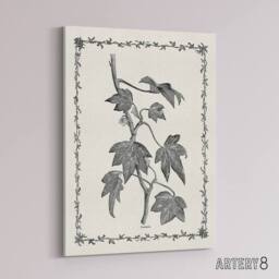 "Artery8 Vintage Botanical Pustulata Leaves Hibberd Canvas Wall Art in White - Size: W18"" x H24""" - thumbnail 2