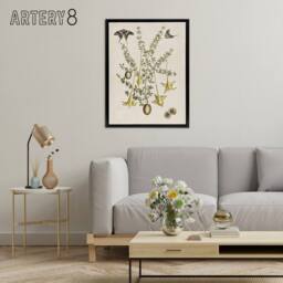"Artery8 Frutex Spinofus Flowers & Butterflies Catesby Framed Canvas Wall Art in Beige - Size: W12"" x H16""" - thumbnail 3