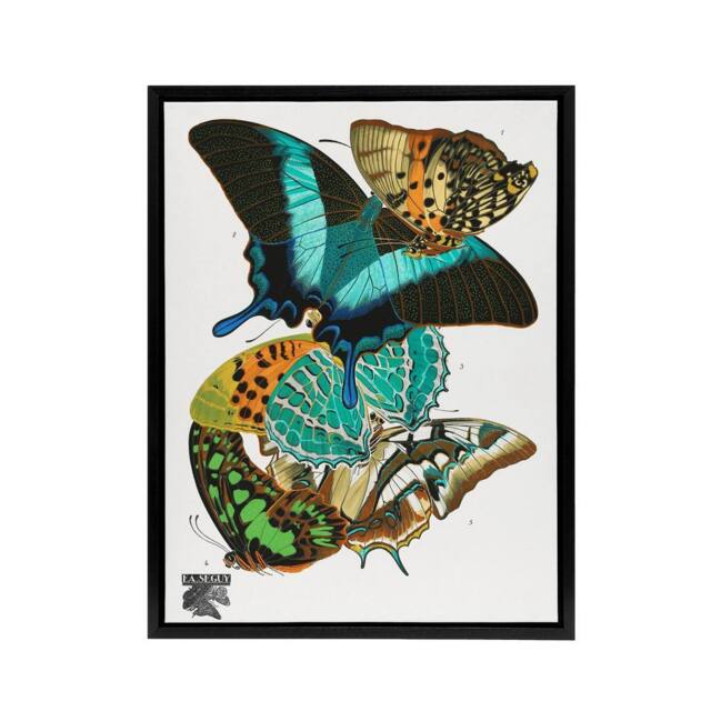 "Artery8 Vintage Colourful Butterflies Framed Canvas Wall Art Print Eugene Seguy - Size: W12"" x H16""" - image 1