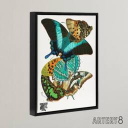 "Artery8 Vintage Colourful Butterflies Framed Canvas Wall Art Print Eugene Seguy - Size: W12"" x H16""" - thumbnail 2