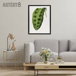 "Artery8 AF Lydon Benjamin Fawcett Maranta Pardina Leaf Framed Canvas Art Print in White - Size: W12"" x H16""" - thumbnail 3