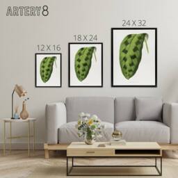 "Artery8 AF Lydon Benjamin Fawcett Maranta Pardina Leaf Framed Canvas Art Print in White - Size: W12"" x H16""" - thumbnail 4