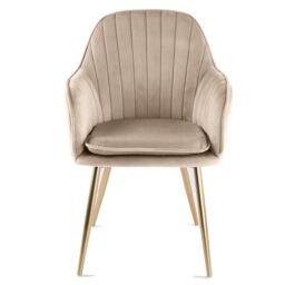 Genesis Muse Velvet Accent Chairs Pair Upholstered Modern Chairs with Backrest in Taupe - Size: 2 Pack - thumbnail 4
