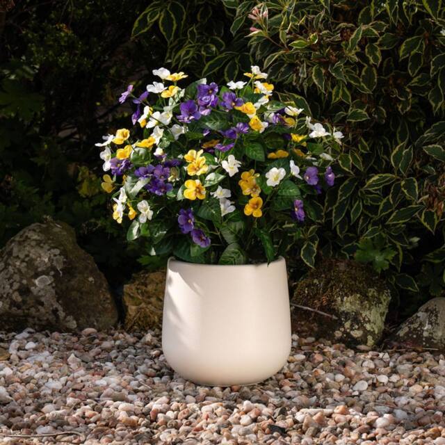 Scottish Everlastings Ltd 57cm Outdoor Mixed Pansy Planter - image 1