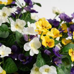Scottish Everlastings Ltd 57cm Outdoor Mixed Pansy Planter - thumbnail 2