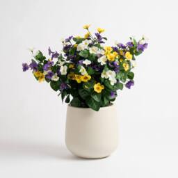 Scottish Everlastings Ltd 57cm Outdoor Mixed Pansy Planter - thumbnail 3