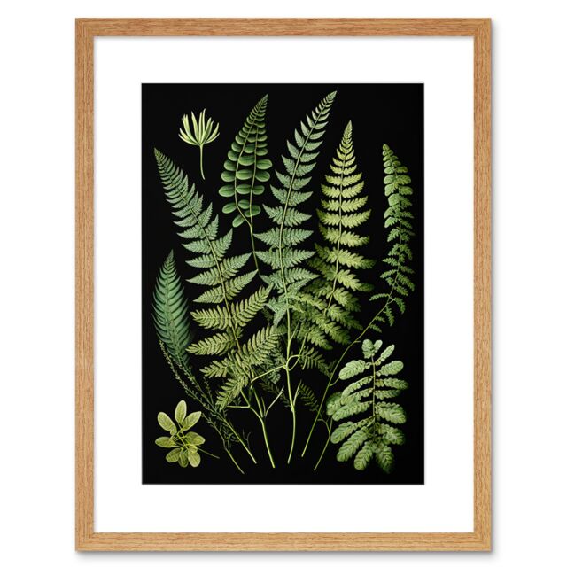 "Artery8 Wall Art Print Fern Fronds Detailed Leaves Botanical Artwork Framed 9X7 Inch in Beige - Size: W7"" x H9""" - image 1