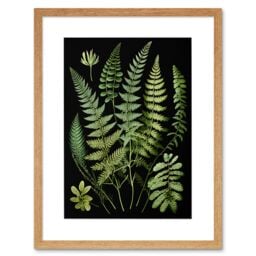 "Artery8 Wall Art Print Fern Fronds Detailed Leaves Botanical Artwork Framed 9X7 Inch in Beige - Size: W7"" x H9""" - thumbnail 1