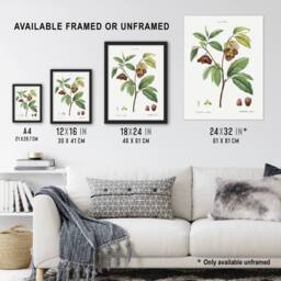 "Artery8 Papaw Tree Botanical Redoute Vintage Wall Art Print Poster in White - Size: W12"" x H16""" - thumbnail 3