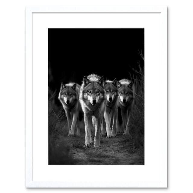 "Artery8 Wall Art Print A Pack of Wolves Wild Animal Black & White Photo Artwork Framed 9X7 Inch - Size: W7"" x H9""" - image 1