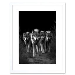 "Artery8 Wall Art Print A Pack of Wolves Wild Animal Black & White Photo Artwork Framed 9X7 Inch - Size: W7"" x H9""" - thumbnail 1