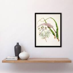 Artery8 Sarah Featon Framed Wall Art Neinei Totorowhiti Turpentine Scrub Flowers in Beige - Size: A4 - thumbnail 2
