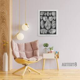 "Artery8 Mollusks Clams Oysters Haeckel Botanical Canvas Wall Art in Black - Size: W18"" x H24""" - thumbnail 3