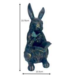 Animal Crackers Rabbit Reading A Book Figurine, Novelty Home Or Garden Decoration, Gift Boxed in Bronze - thumbnail 7