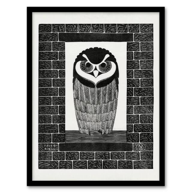 Artery8 Samuel J De Mesquita Framed Wall Art Ringuil Owl Bird on a Window in White - Size: A4 - image 1