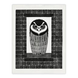 Artery8 Samuel J De Mesquita Framed Wall Art Ringuil Owl Bird on a Window in White - Size: A4 - thumbnail 3