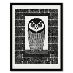 Artery8 Samuel J De Mesquita Framed Wall Art Ringuil Owl Bird on a Window in White - Size: A4 - thumbnail 1