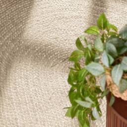 THE RUGS Rangpur Braided Jute Rug & Runner - Hand Woven Oval Natural Rug in Cream - Size: 160 cm x 230 cm - thumbnail 7