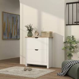 SPETLEK 12-Shoe Storage Cabinet 4 Shelves 2 Drawers Tabletop High Gloss White - Size: 0.6m2 - thumbnail 2